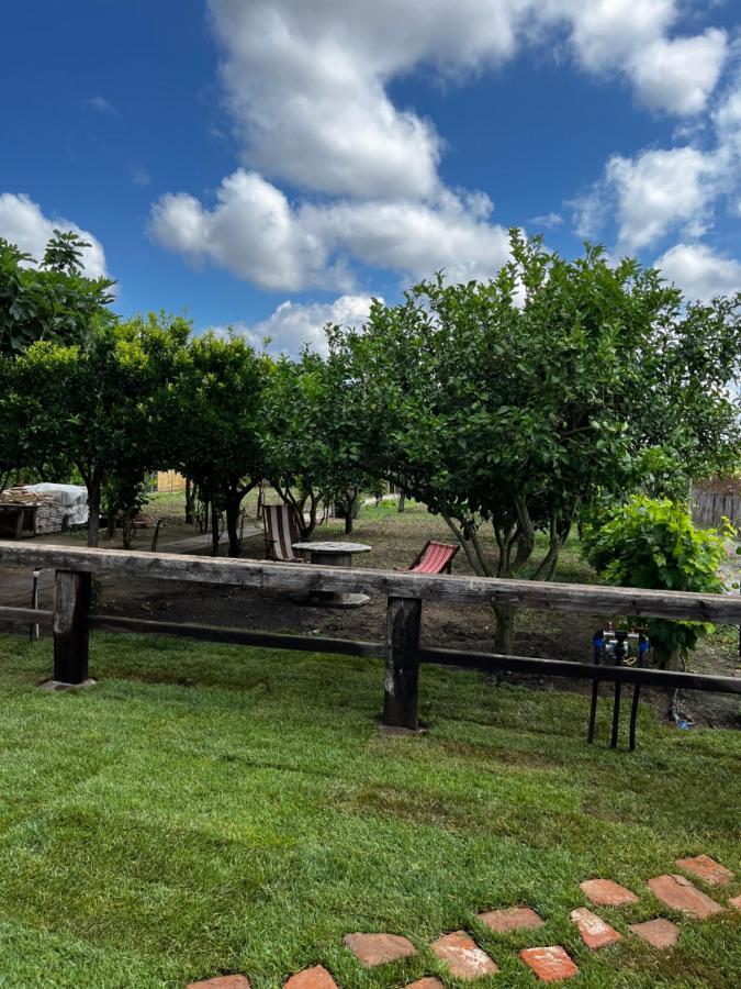 Affittacamere Graziosa Stanza Campidanese Su Segundu Oristano Esterno foto